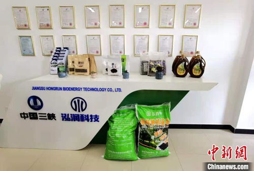 科技賦能長(zhǎng)江生態(tài)修復(fù) 岸上綠意盎然，水中碧波重現(xiàn)